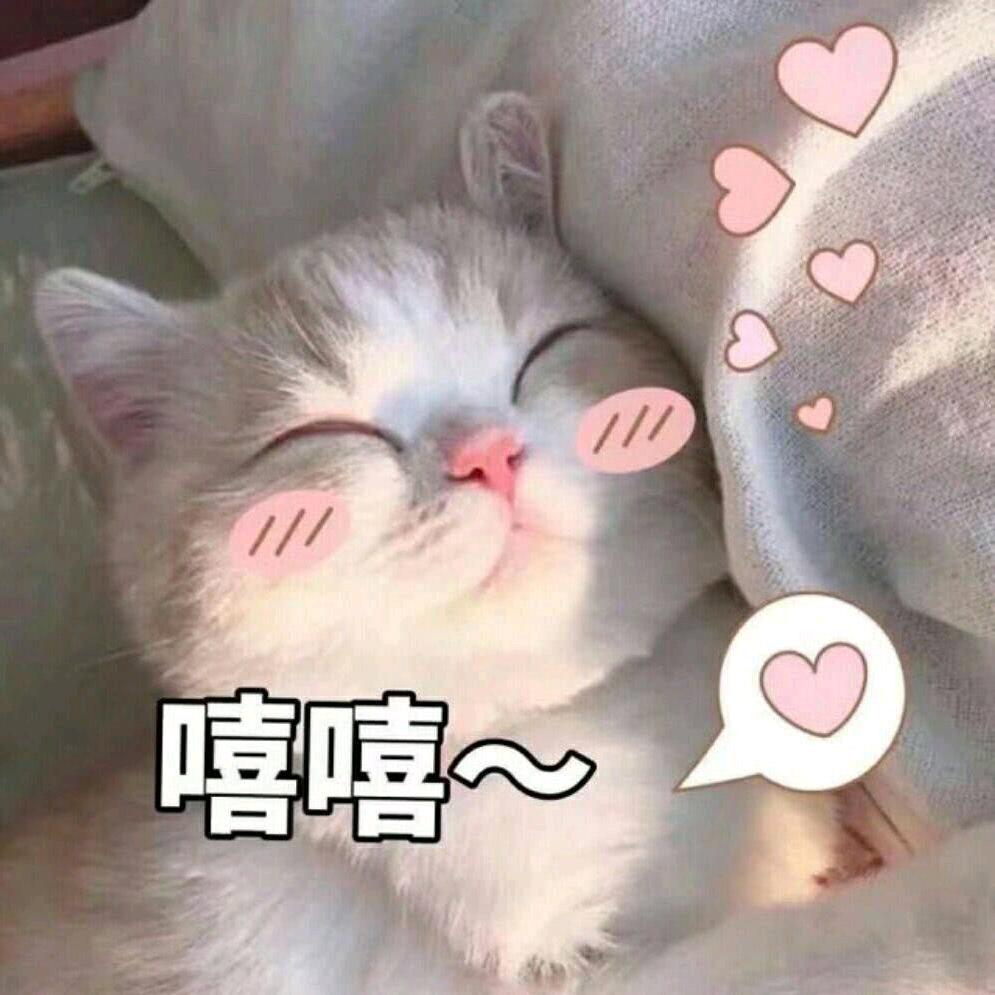 @诺诺