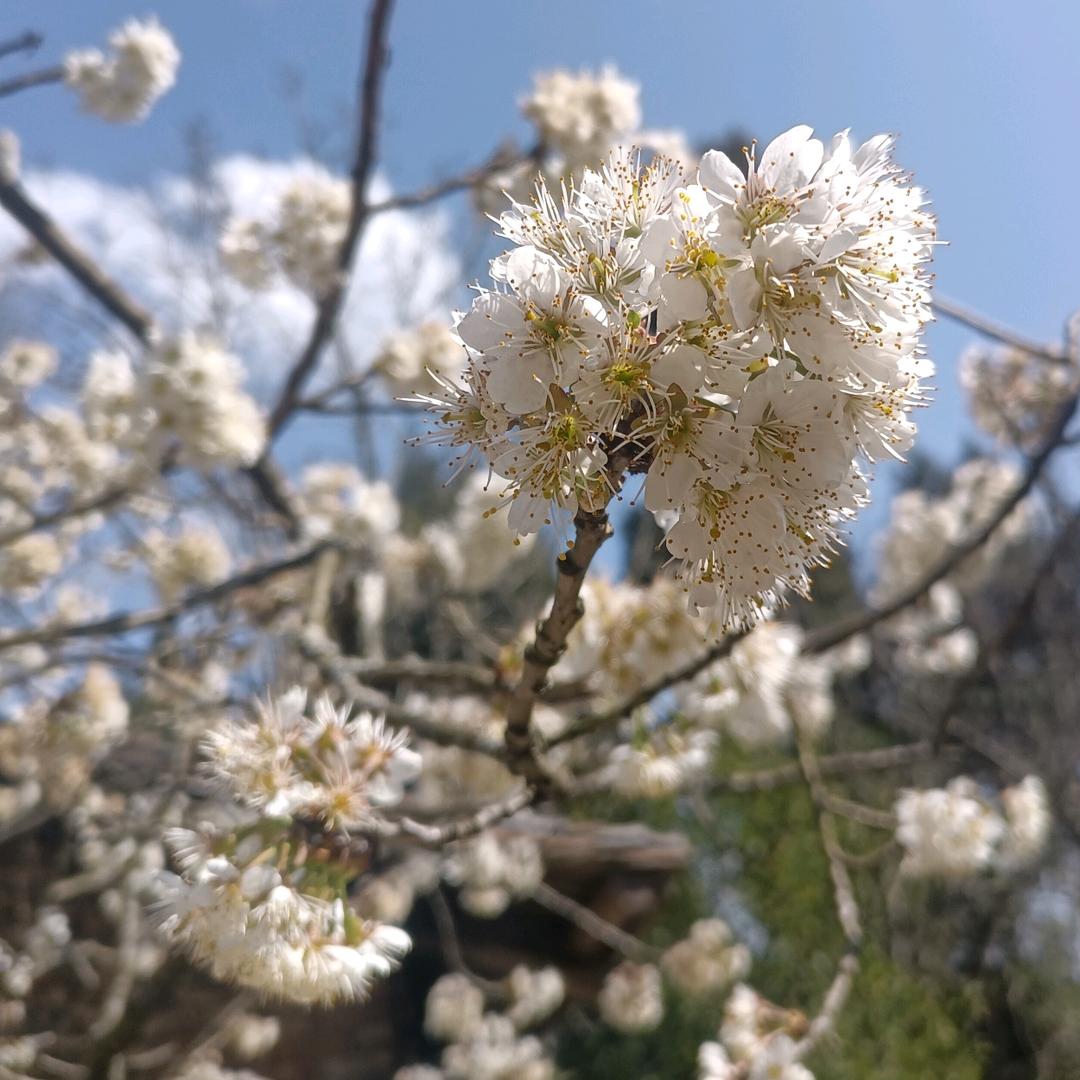 春暖花开