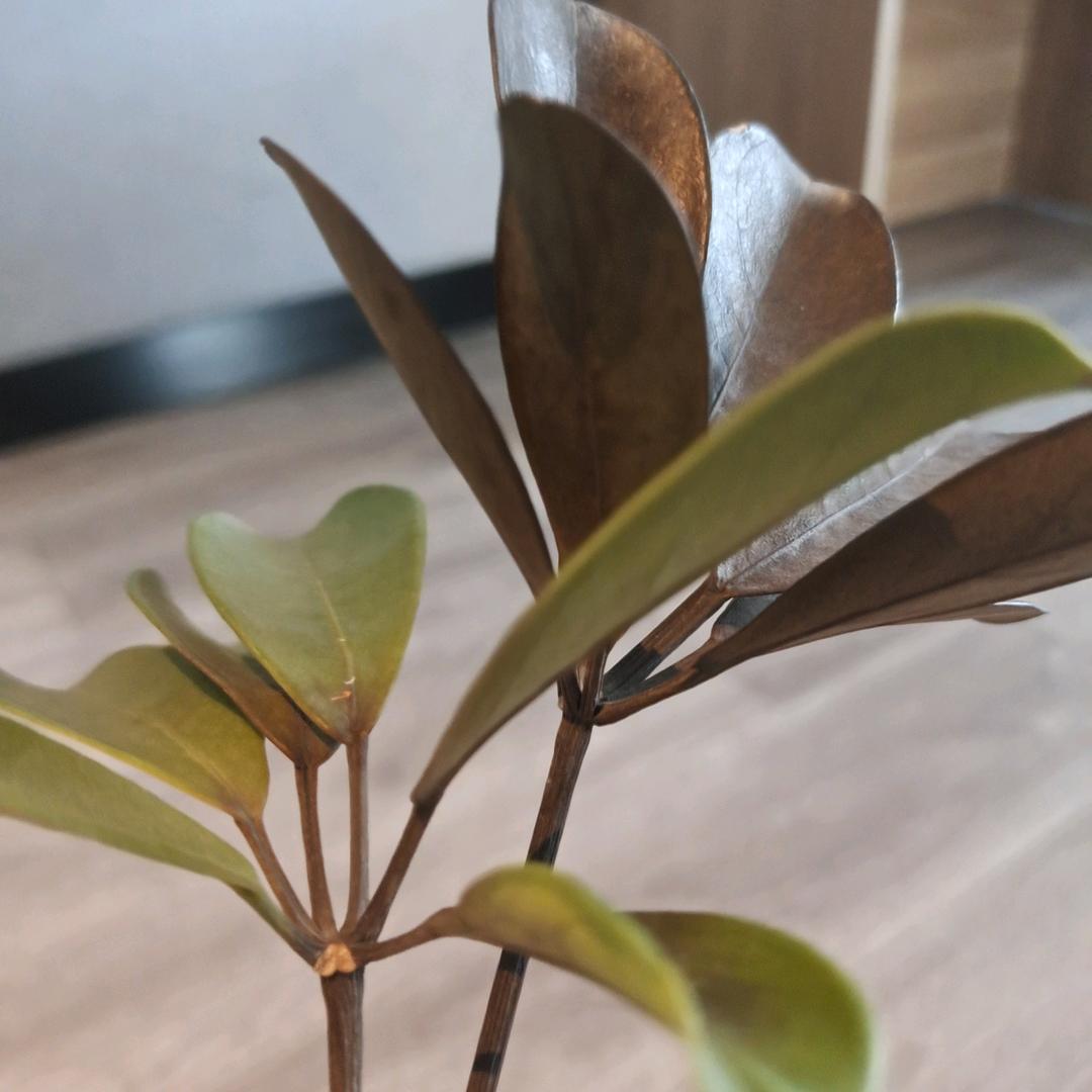 白云蓝天