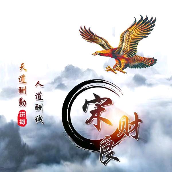 宋财良艺人
