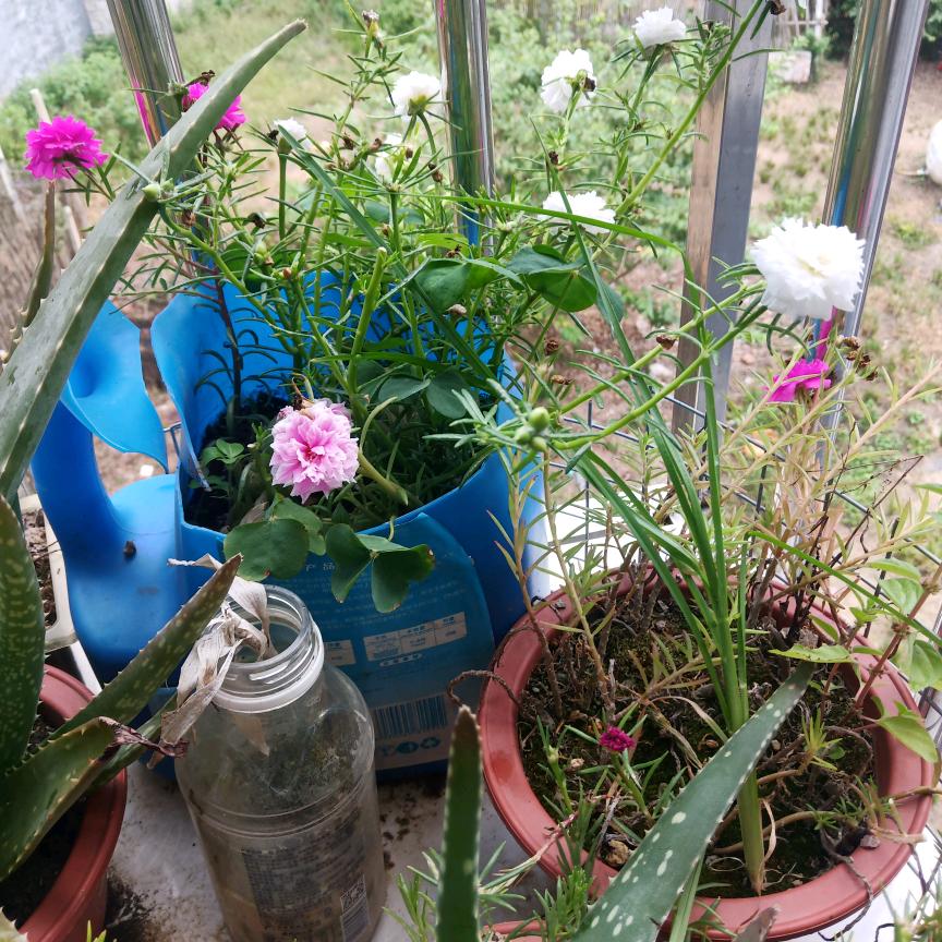 东莞塘厦🥀এ᭄不必 ꦿ谁💔懂我ོ࿐ᩚ