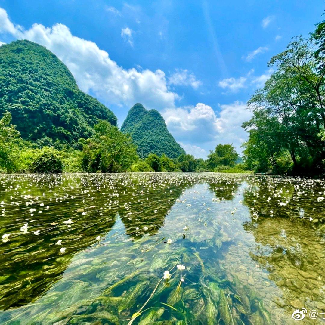静生慧