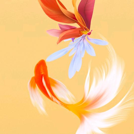 炕嘎啦边搽黏住