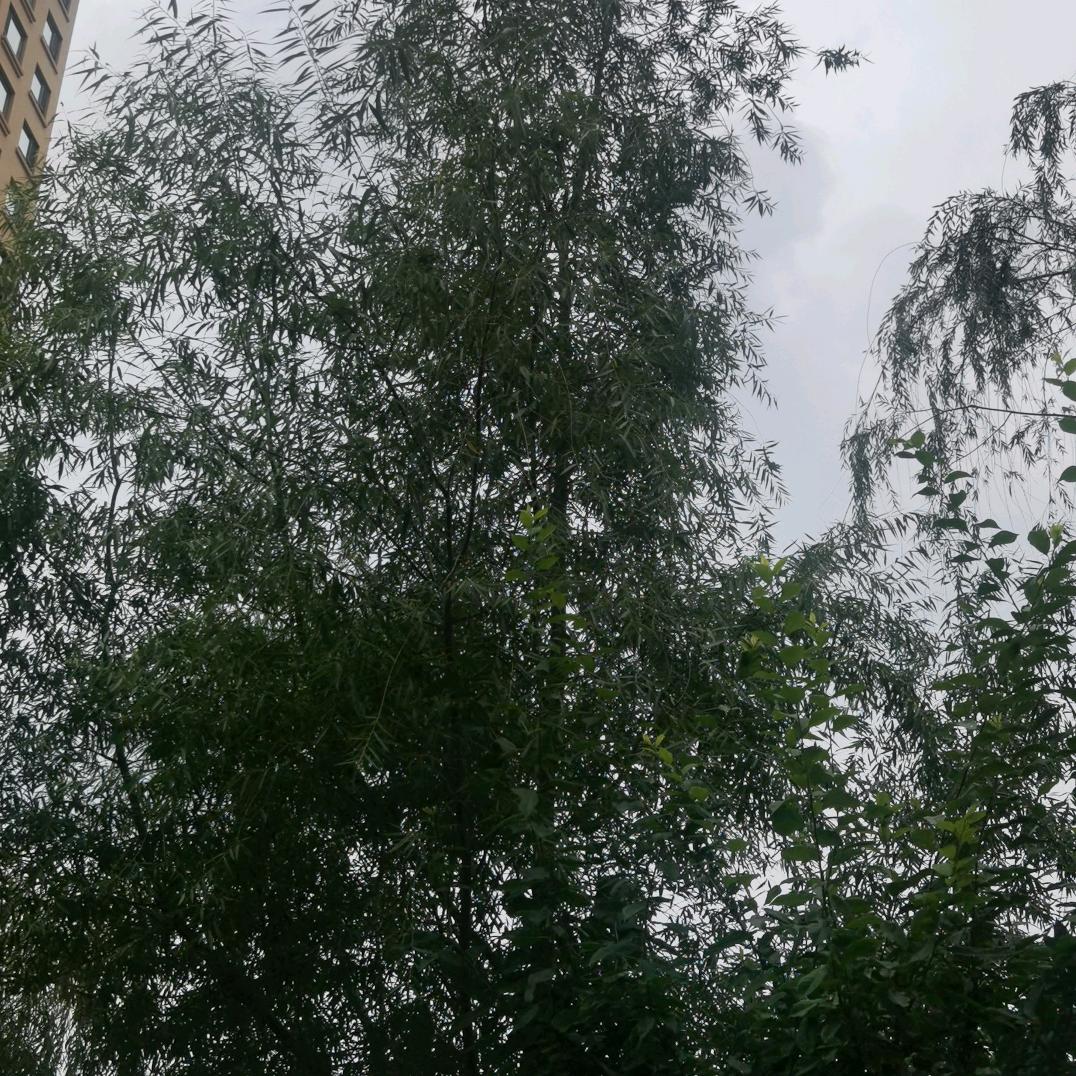 整挺好！