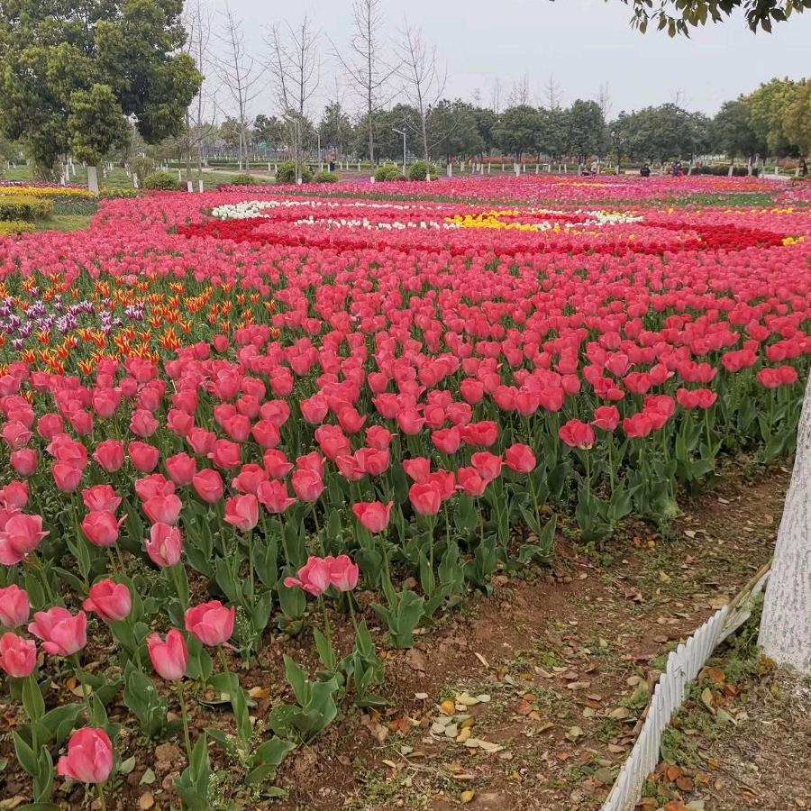 幸福其实很简单