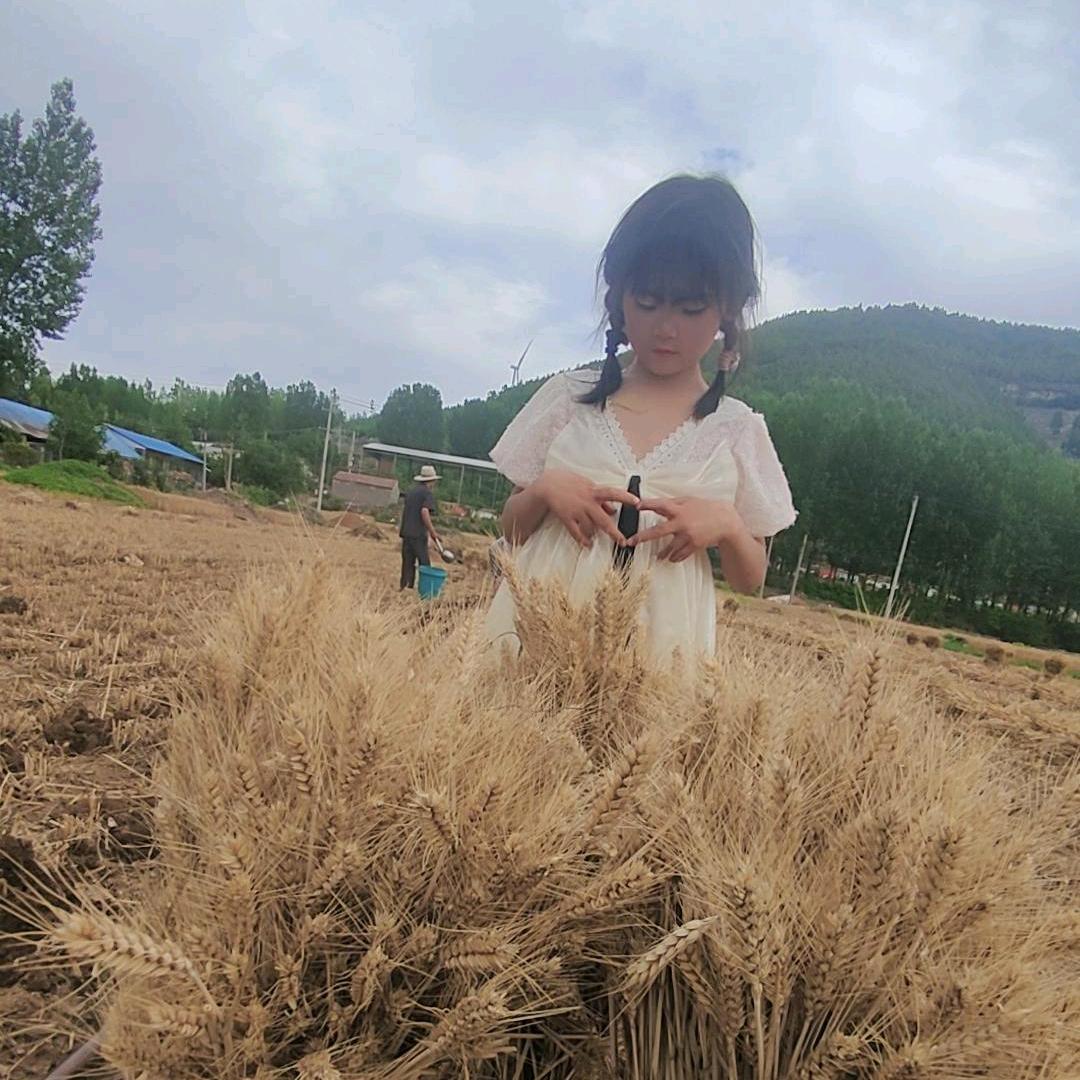 似花颜、倾一世の城