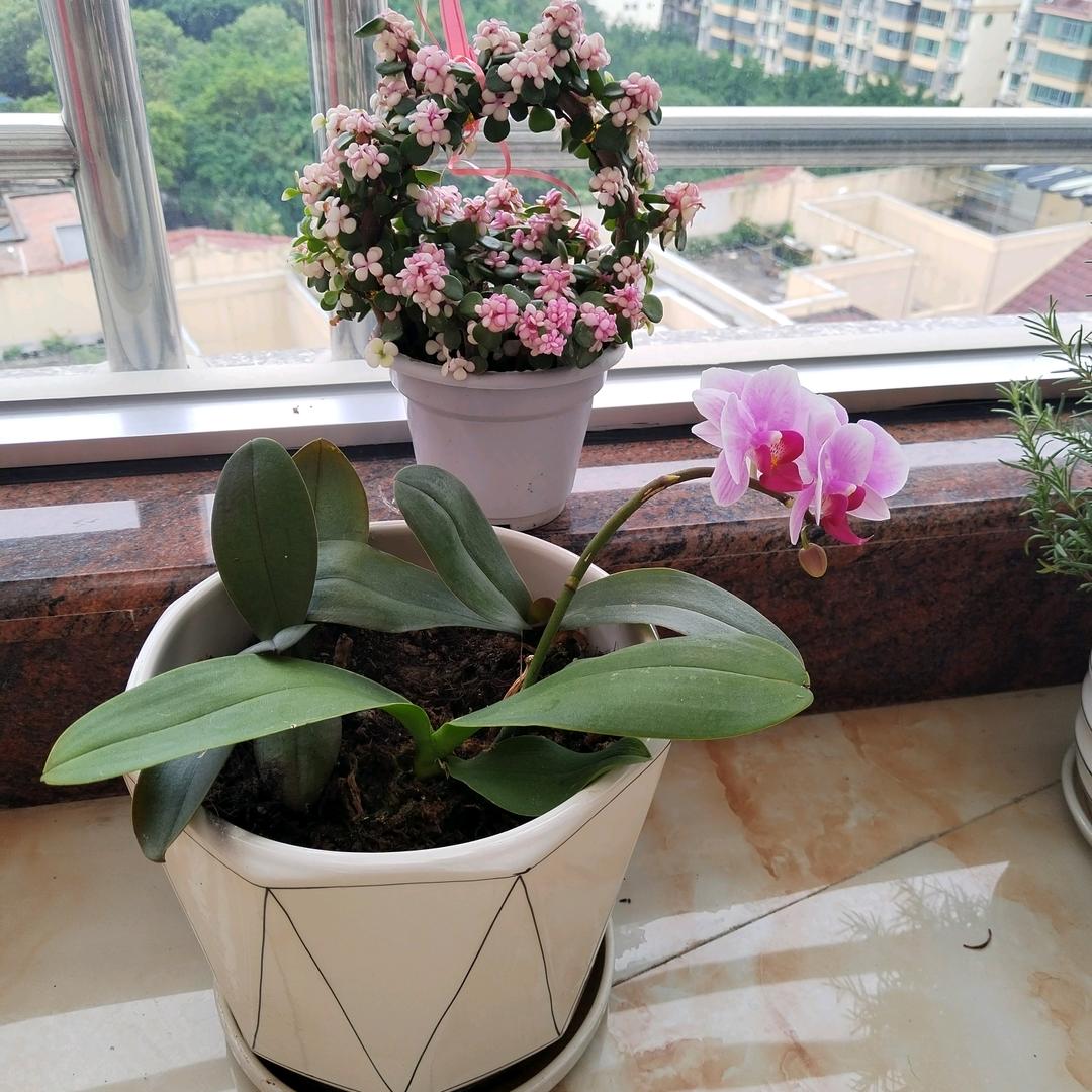 今天开心哦