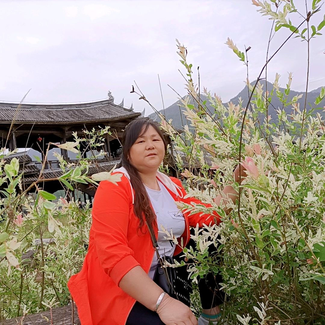 陈姐（3：50开播）