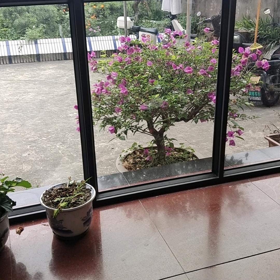 专业车老爸鞋