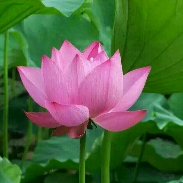 时间在走，人心会变