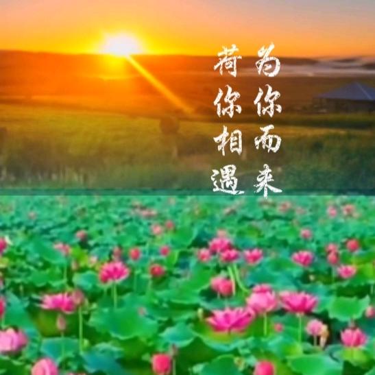 花艺哥