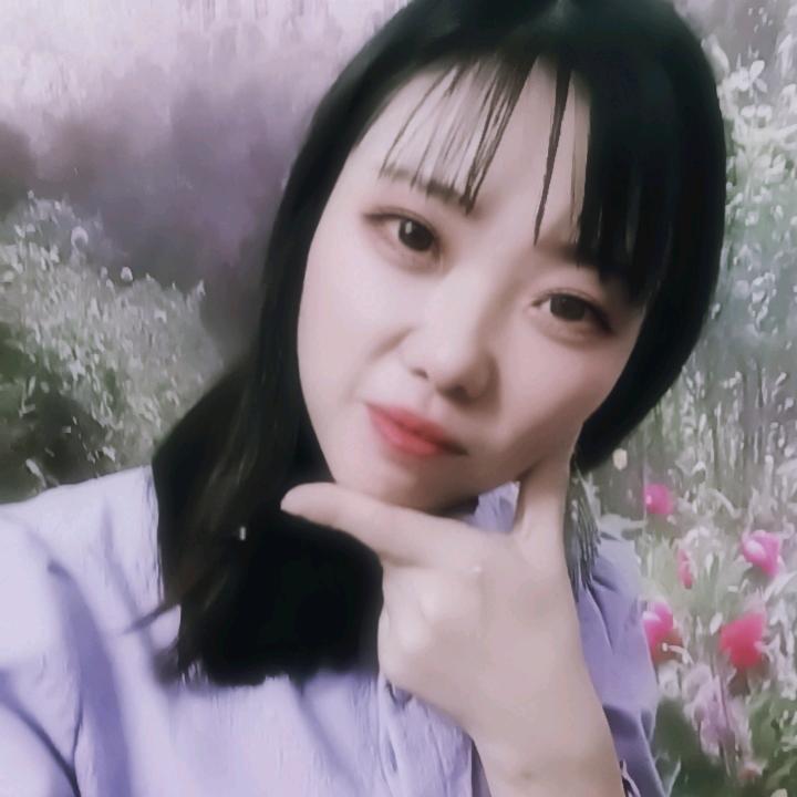 河南人在柬埔寨