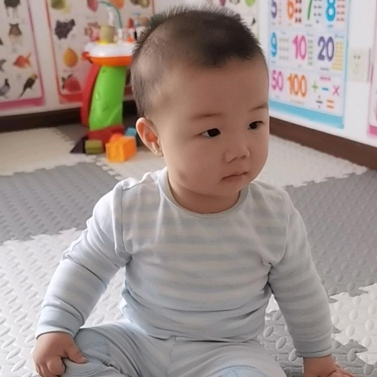 一小只淘淘娃