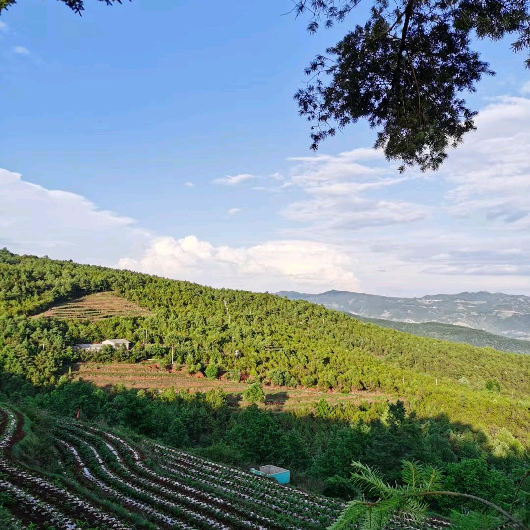 高原上的拖拉机