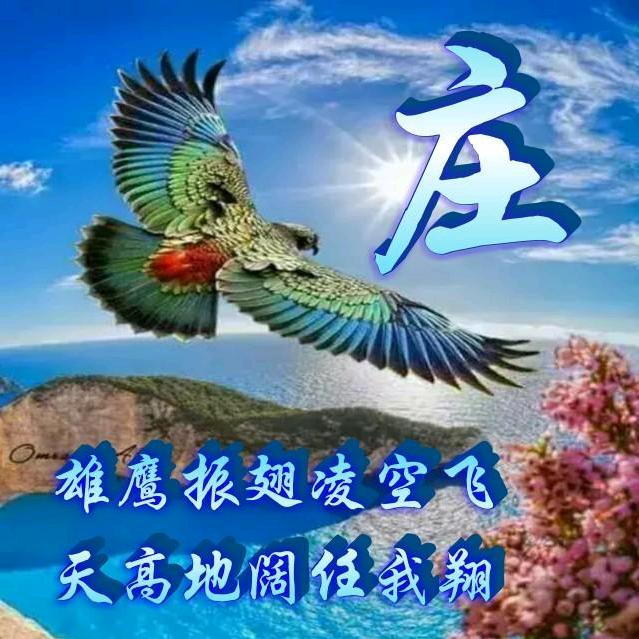 出类🍒拔崔雄鹰