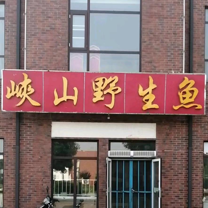 峡山野生鱼