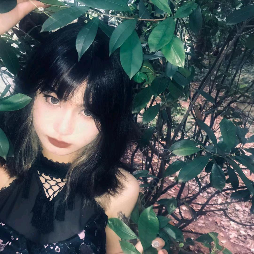 小犬不好惹