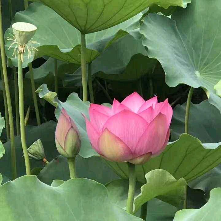 陈荣