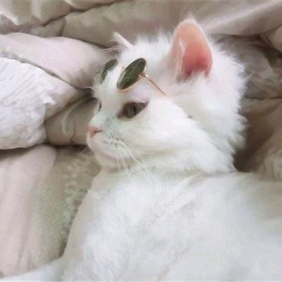 幸福一家❤