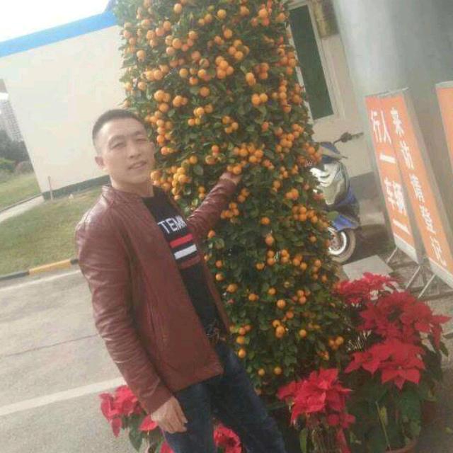 爱在何方