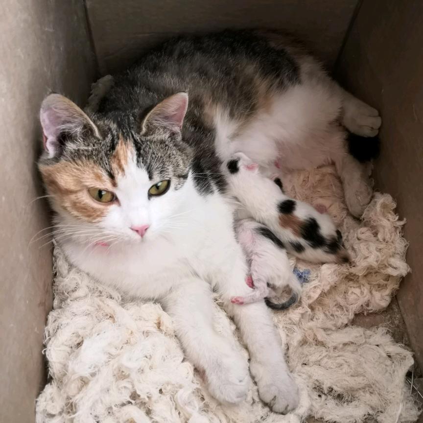 生活像一把无情刻刀