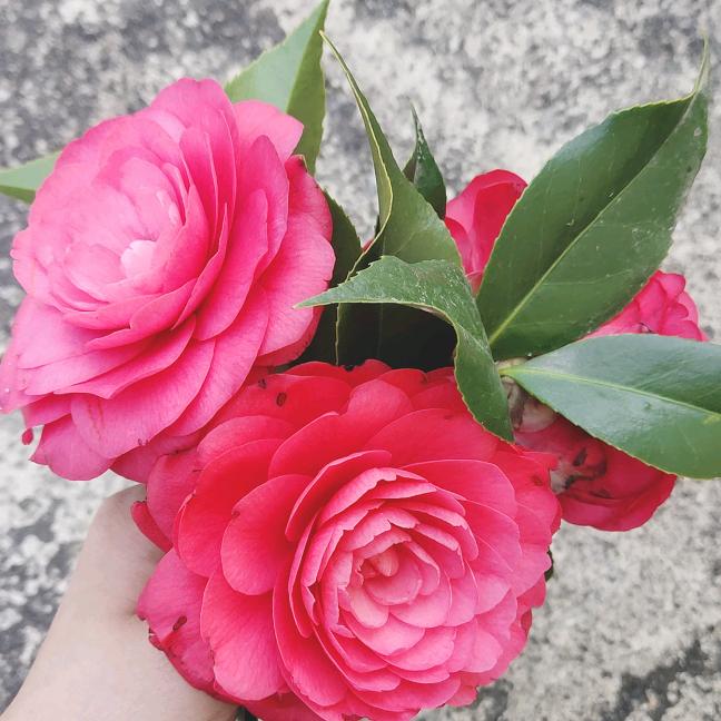 小田米🌺