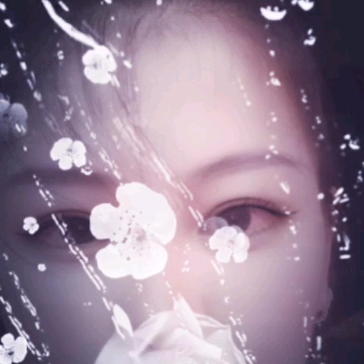 如水年华