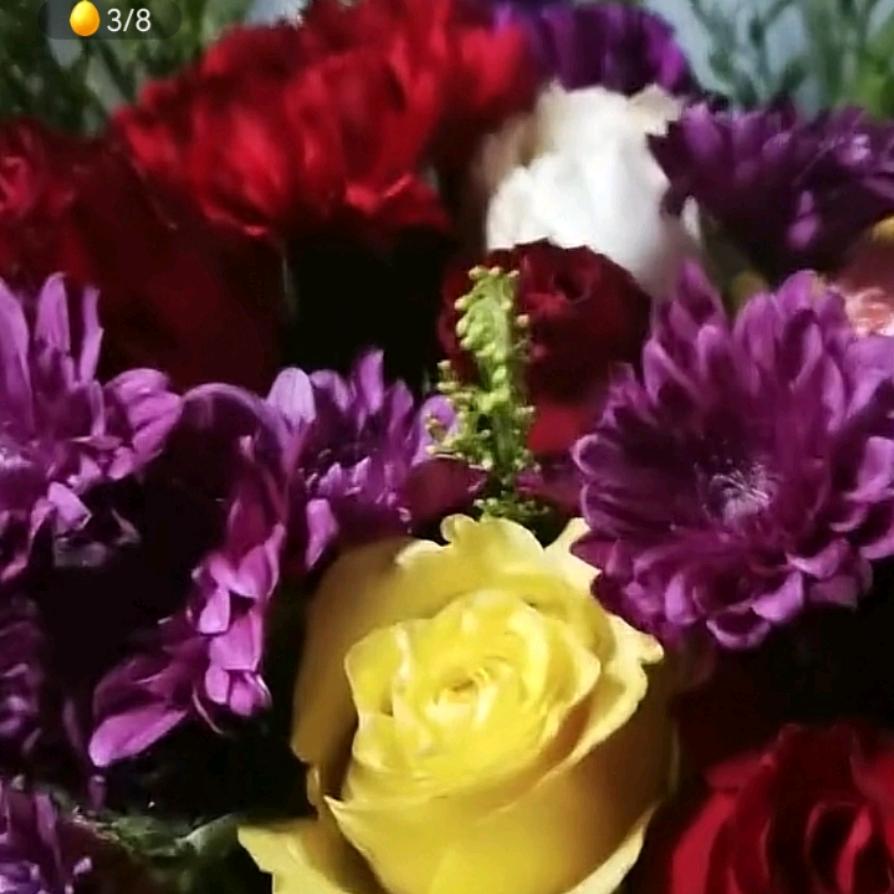 芋含🍒🍓🐀🐘