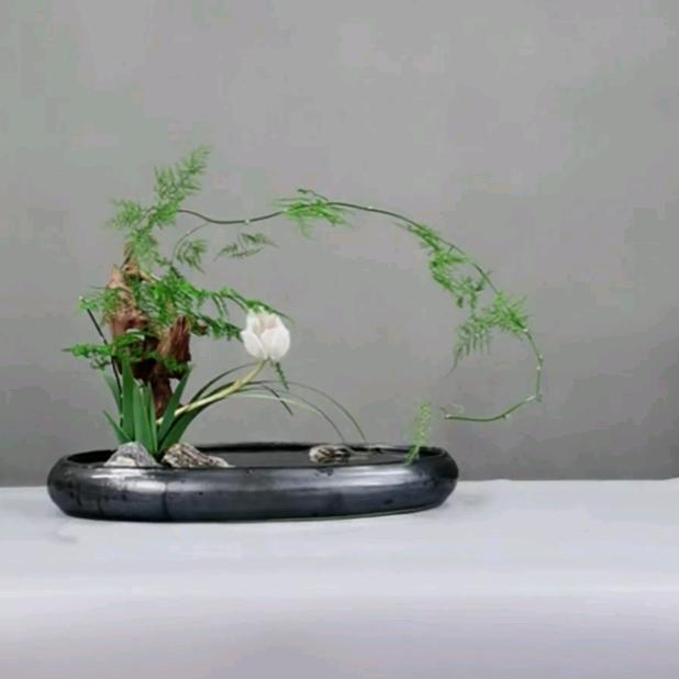 北风吹起歌不断