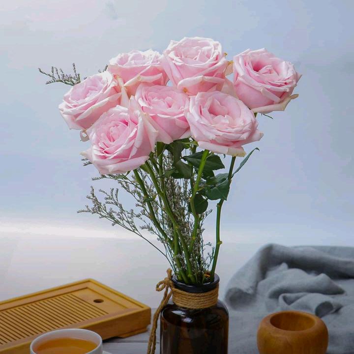 ꧁🌺霞🌺꧂