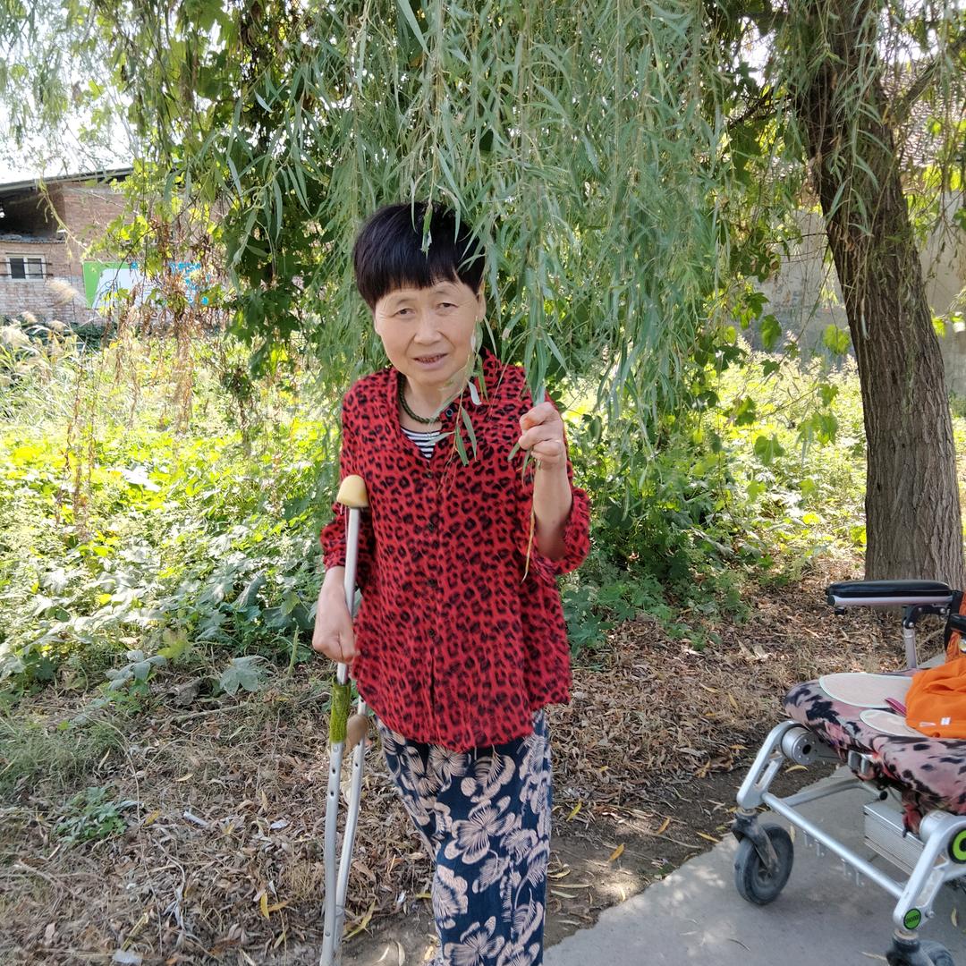 高妹