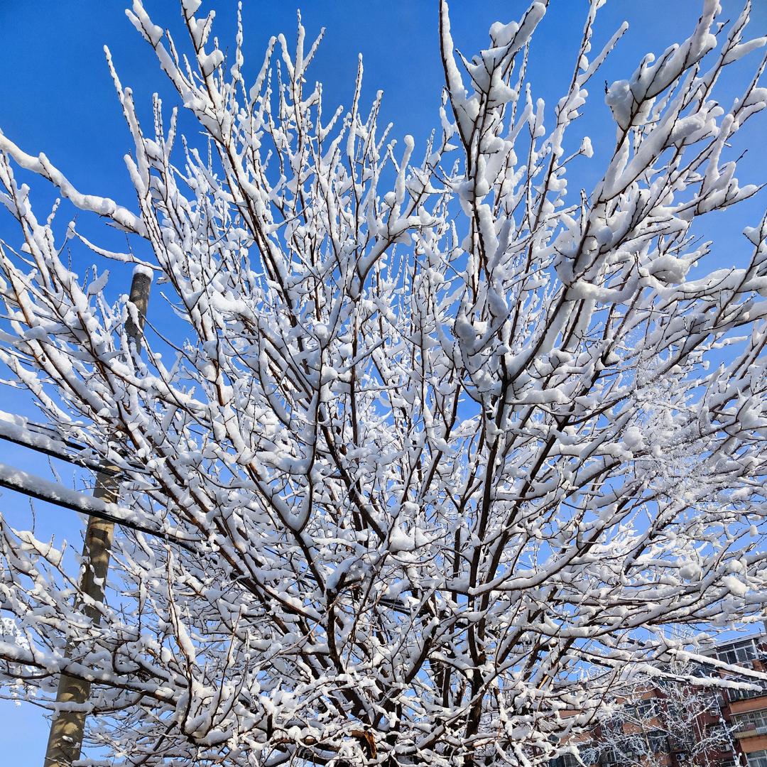 晚来天欲雪21