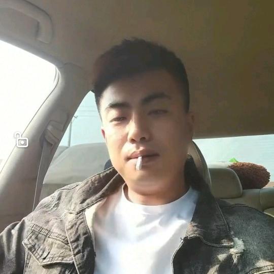 会飞的马