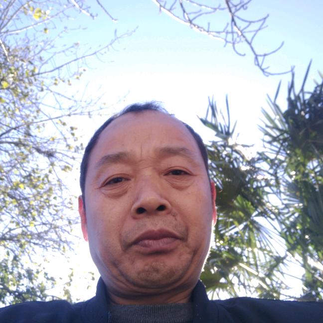 亮哥