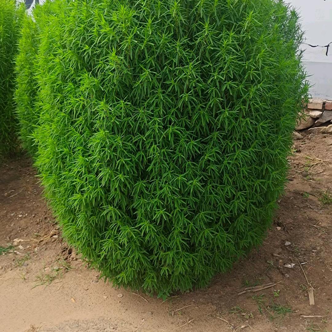 越来越好