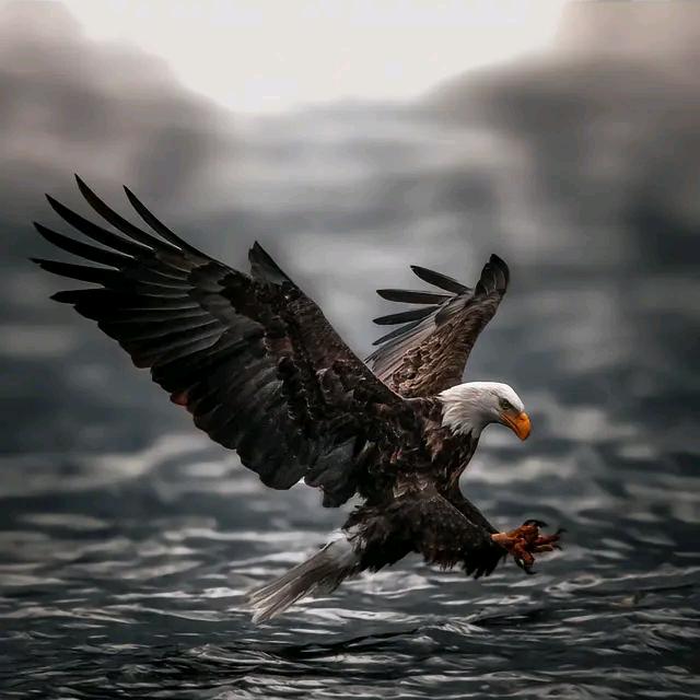 阿钢⁵