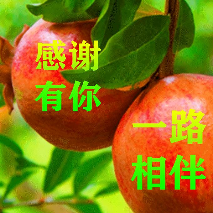 还有一口气   都要学从头