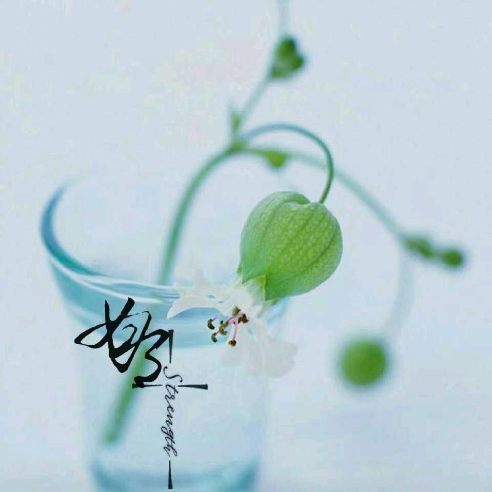盲龙