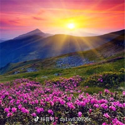 琼姐