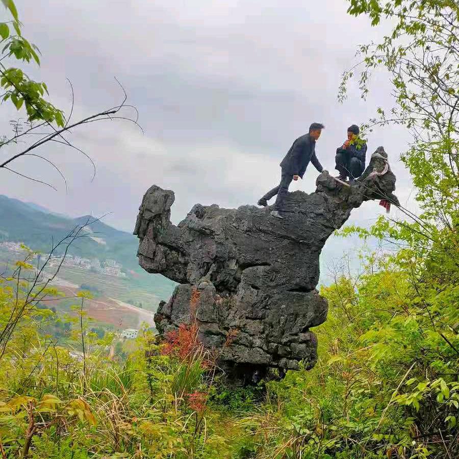 এ踏雪无痕དྷ༗