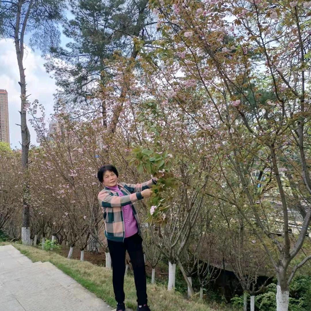 老爷子老爷子老爷子头像
