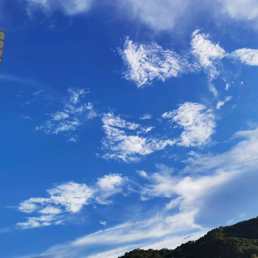 AA云淡～茶香☁️☁️