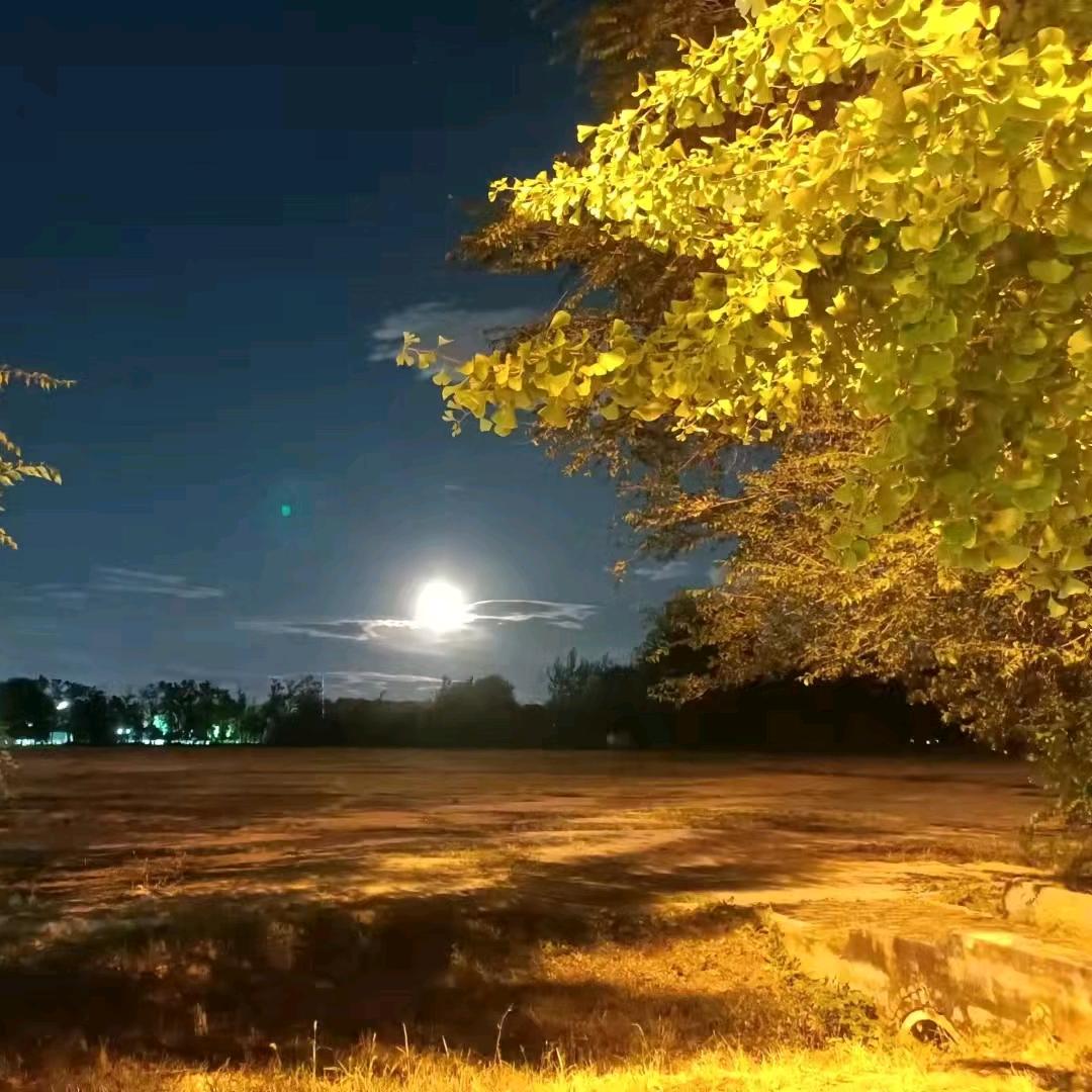 ✺◟(∗❛ัᴗ❛ั∗)◞✺浪子佛心