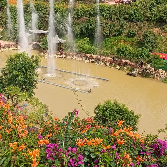 顺心如意（叶）