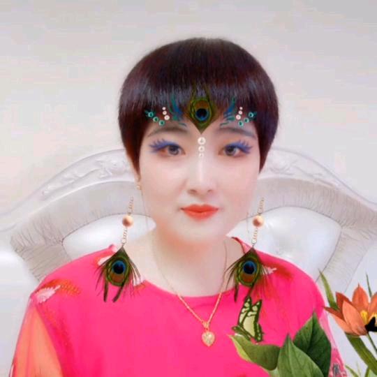 四季开花