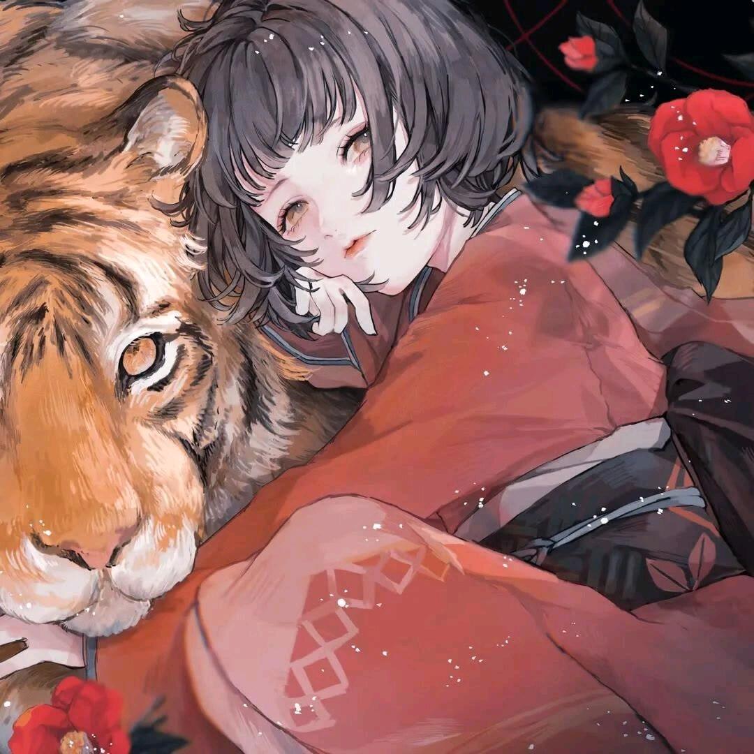 摇光yao