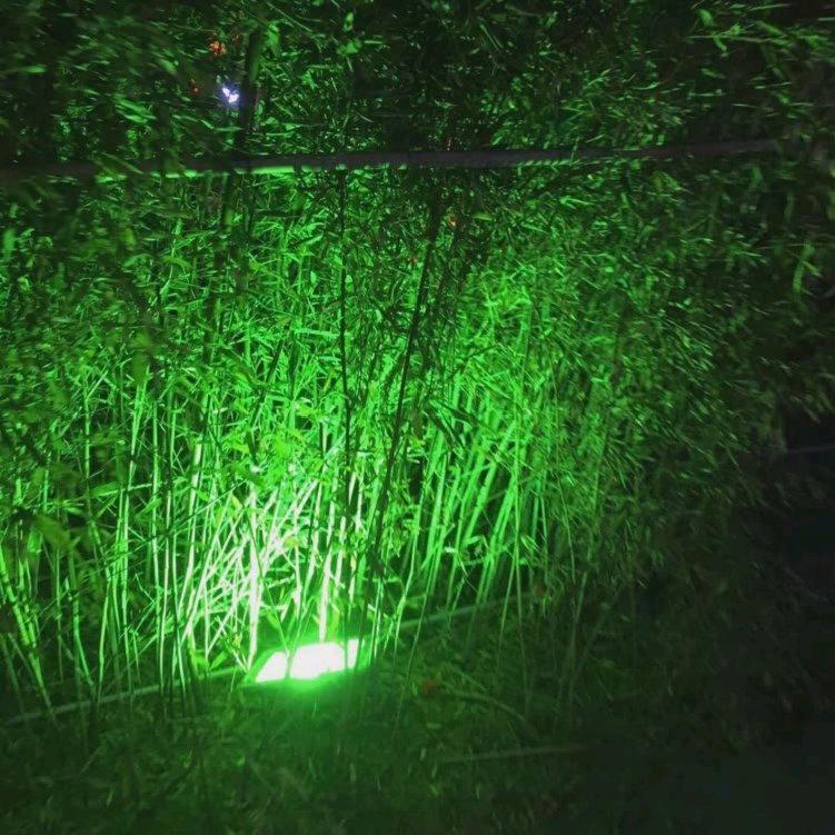 快乐平安果