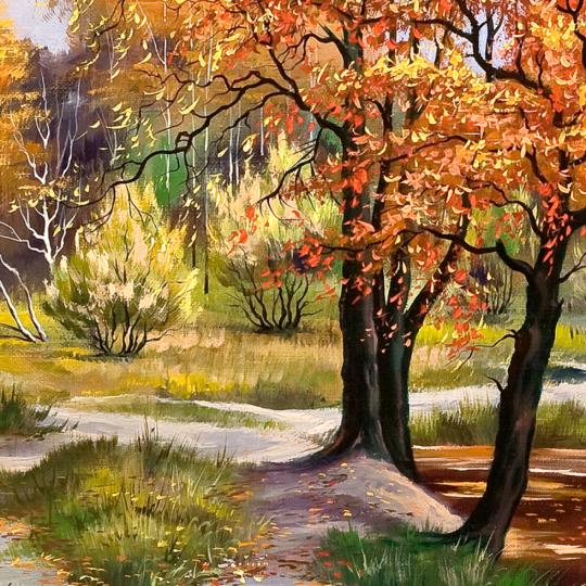 佛缘🙏️🙏️🙏️