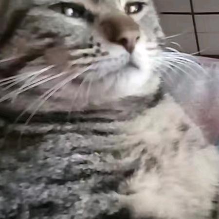 搞点钱养老