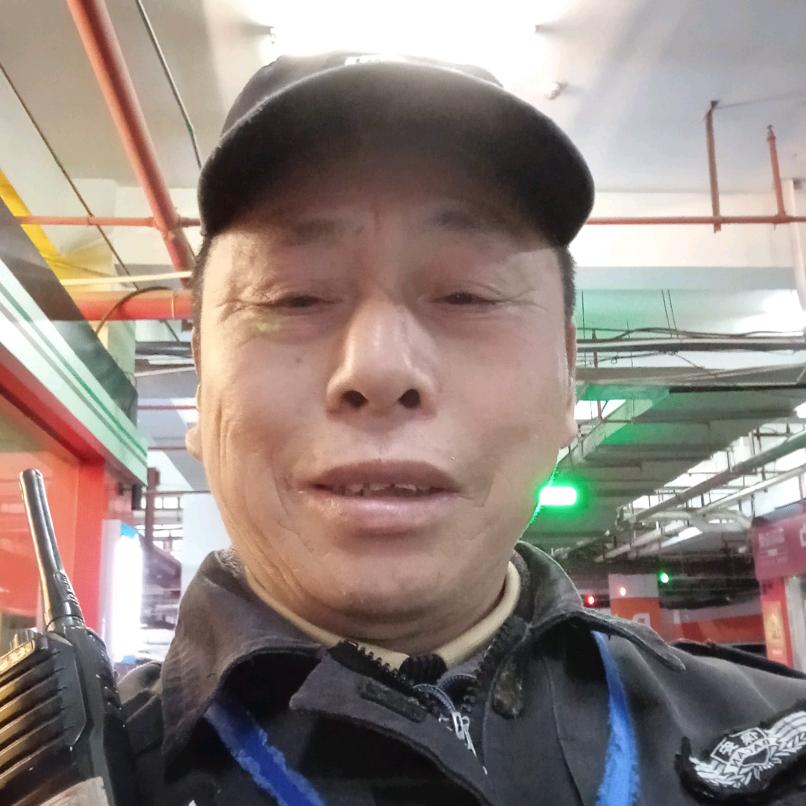 2023常青树！@苦乐人生